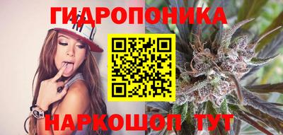 прущая мука Кохма