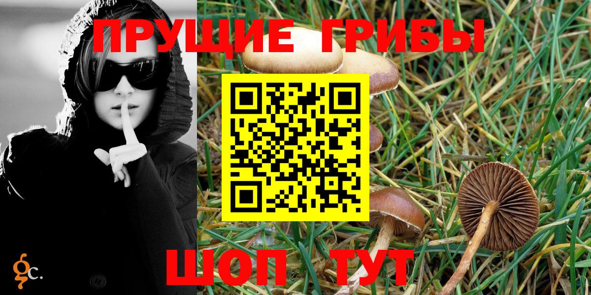 Нижнекамск  Галлюциногенные грибы Psilocybine cubensis  Вход с VPN  Галлюциногенные грибы MAGIC MUSHROOMS 